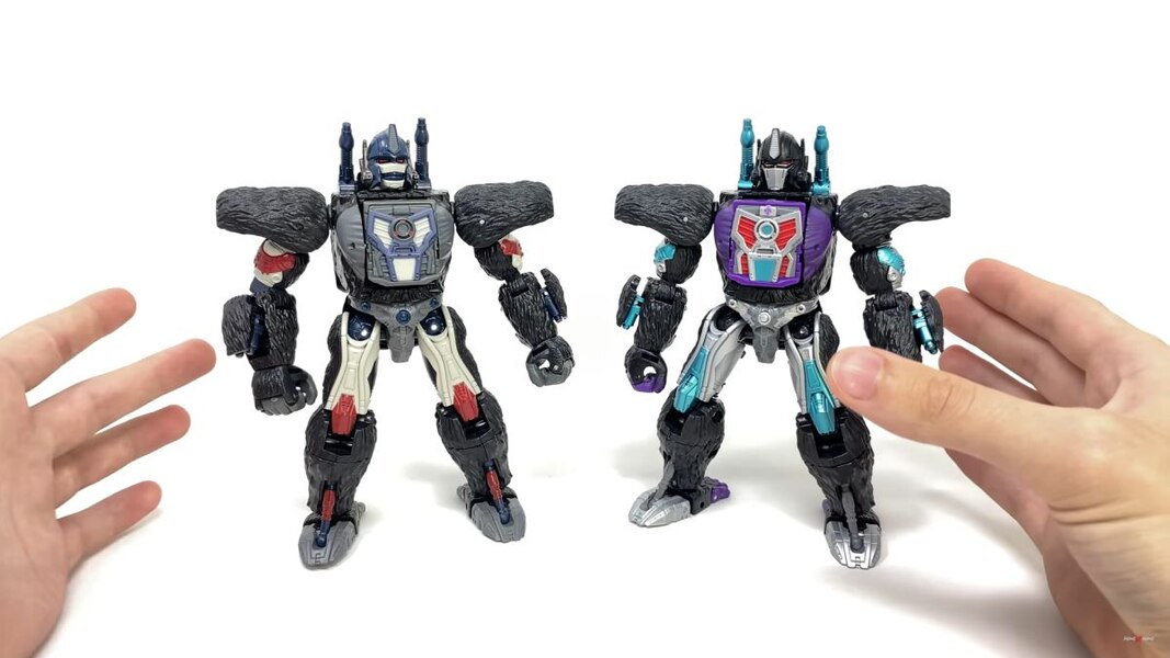 Transformers Worlds Collide 4 Pack In Hand Images  (16 of 42)